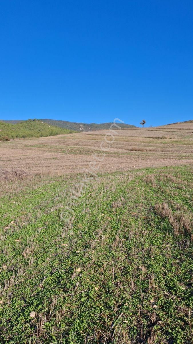 Osmaneli Medetli Köyü 1.850m2 Resmi Yolu Mevcut.mustakil Parsel. — fotoğraf 20