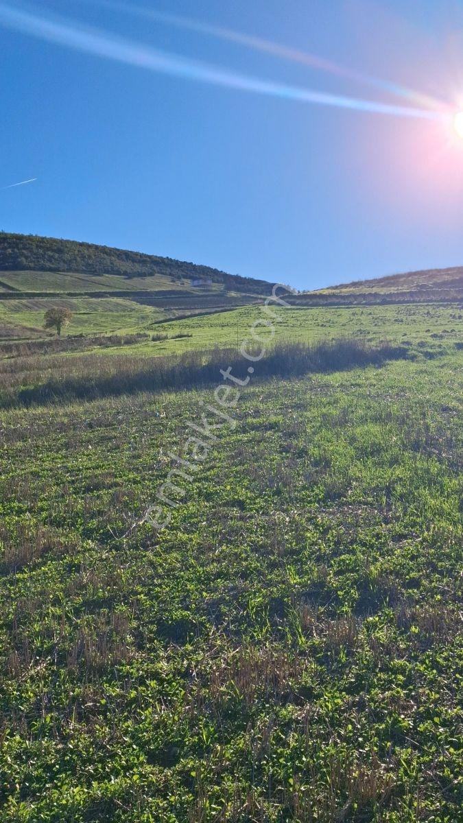Osmaneli Medetli Köyü 1.850m2 Resmi Yolu Mevcut.mustakil Parsel. — fotoğraf 21