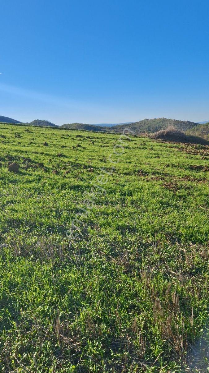 Osmaneli Medetli Köyü 1.850m2 Resmi Yolu Mevcut.mustakil Parsel. — fotoğraf 22