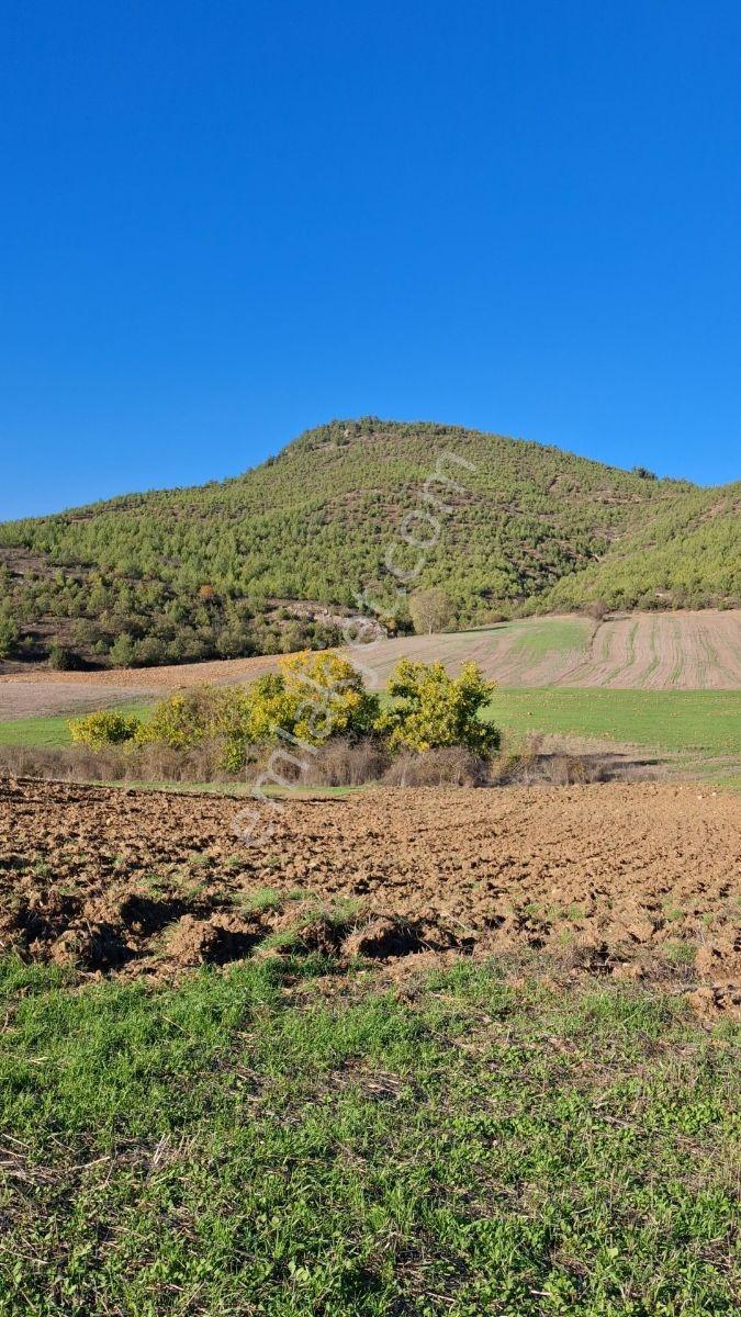 Osmaneli Medetli Köyü 1.850m2 Resmi Yolu Mevcut.mustakil Parsel. — fotoğraf 24