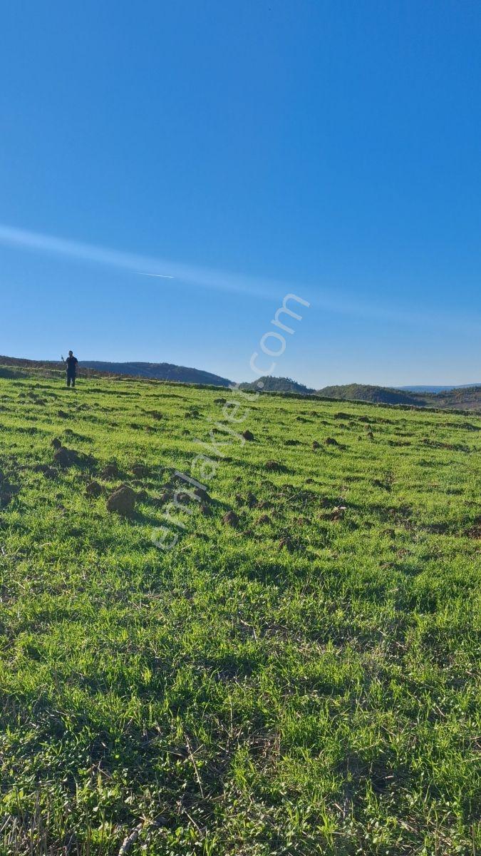 Osmaneli Medetli Köyü 1.850m2 Resmi Yolu Mevcut.mustakil Parsel. — fotoğraf 25