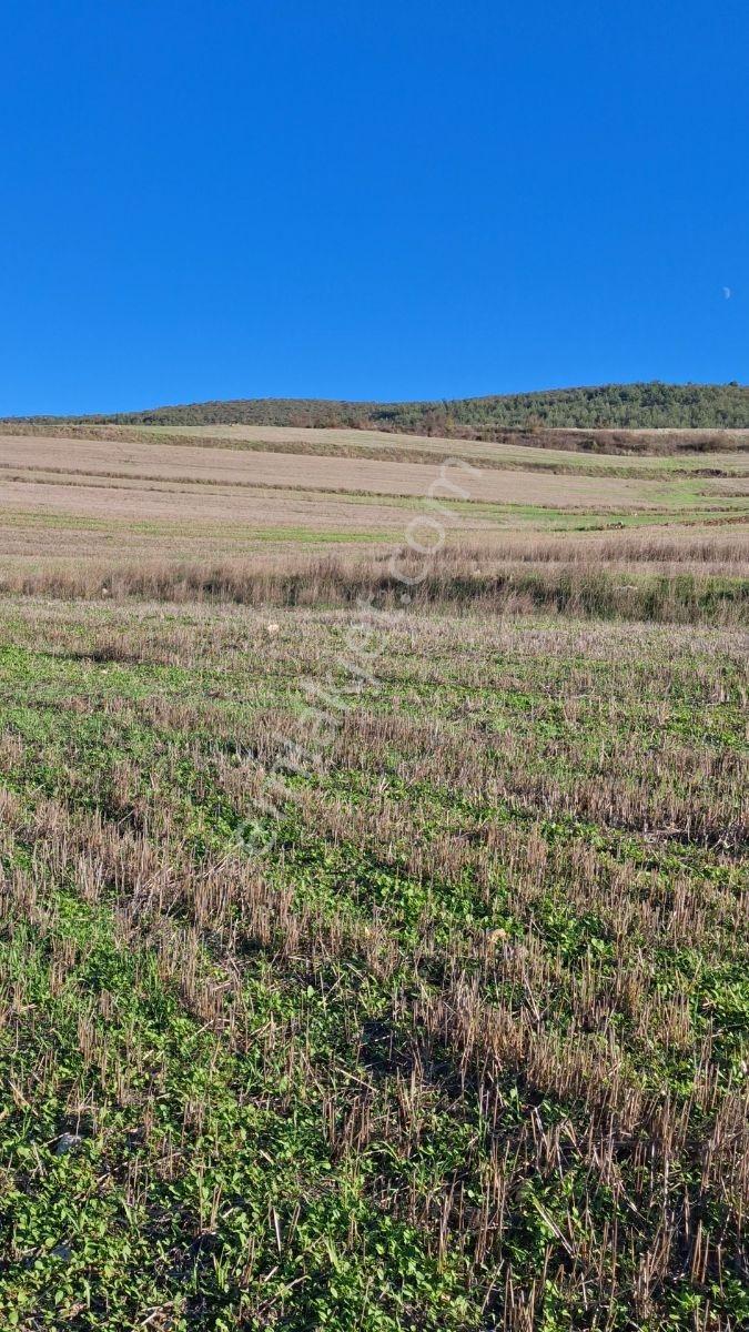 Osmaneli Medetli Köyü 1.850m2 Resmi Yolu Mevcut.mustakil Parsel. — fotoğraf 26