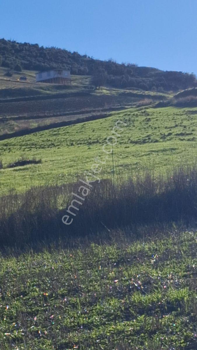 Osmaneli Medetli Köyü 1.850m2 Resmi Yolu Mevcut.mustakil Parsel. — fotoğraf 27