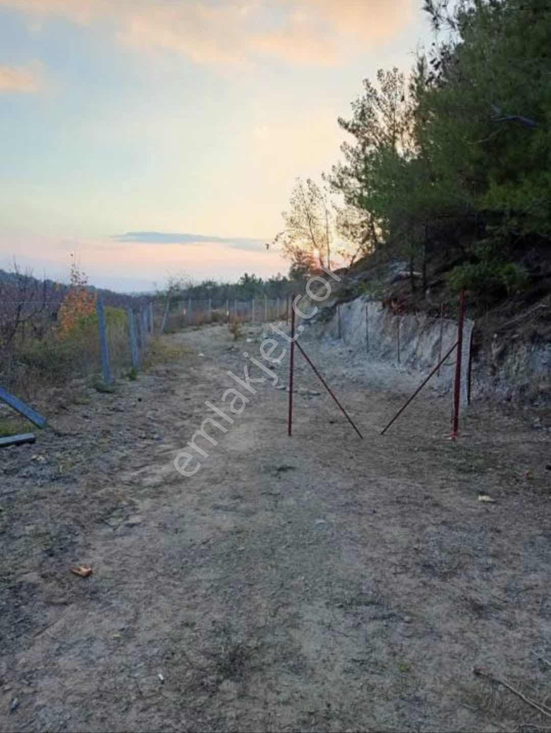 Damlacık Kömürcü Mevkin'de Satılık Tarla — fotoğraf 2