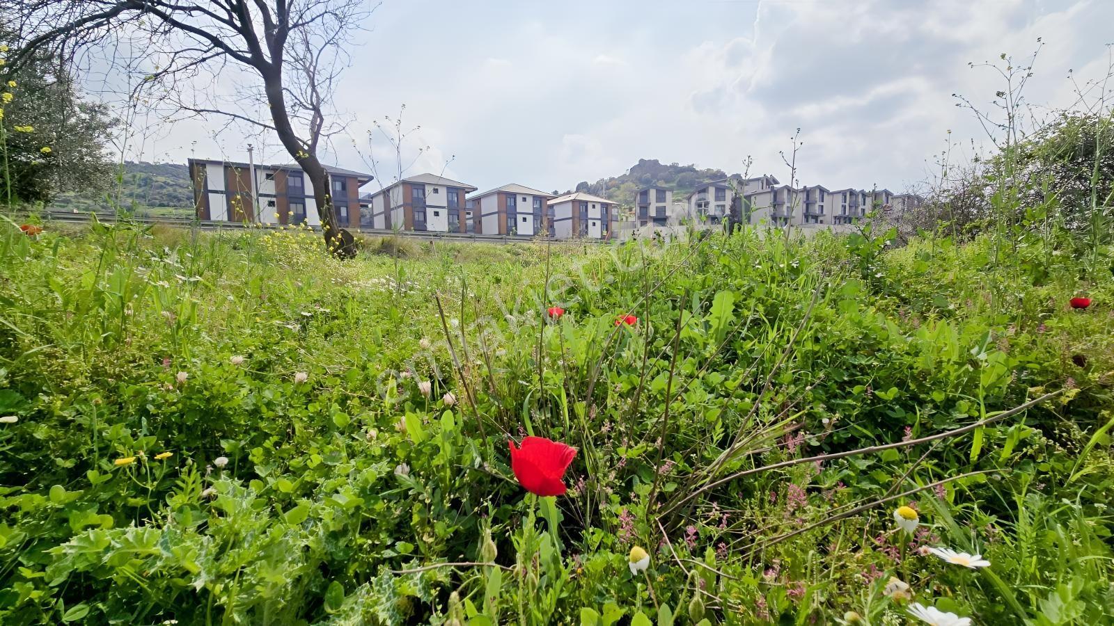 Emiralem Merkez 500 M² Yerimiz Acil Satılıktır — fotoğraf 3