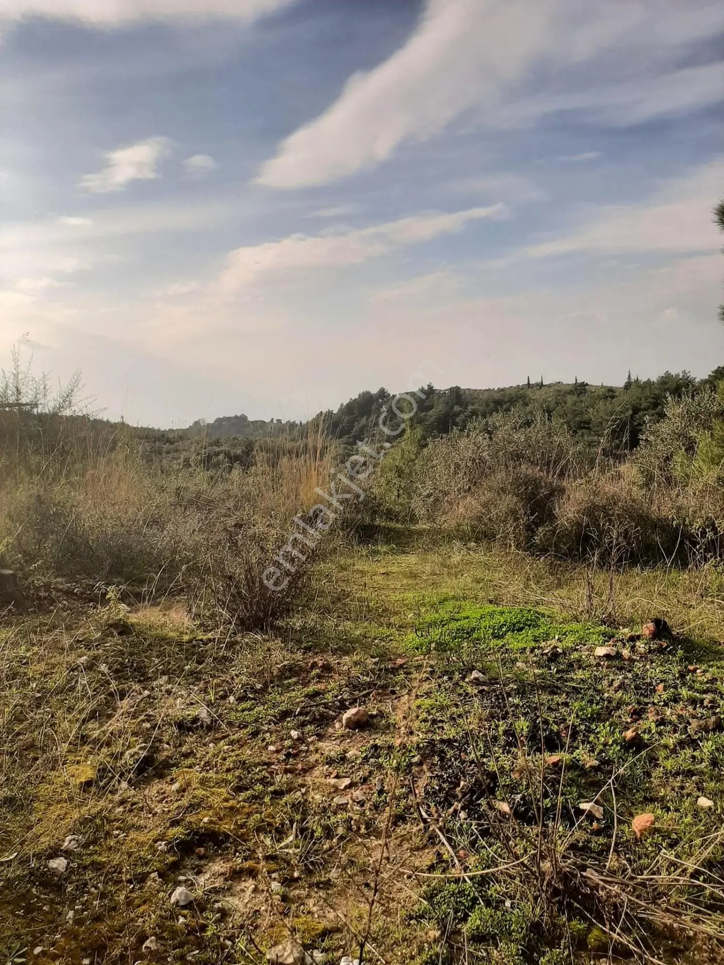 Bu Araziyi Görmeden Karar Vermeyin — fotoğraf 2