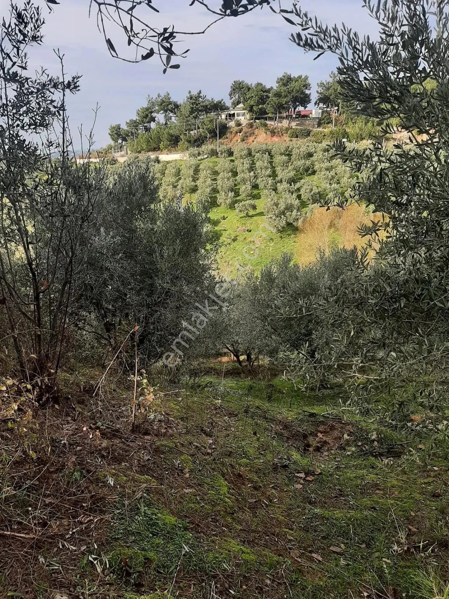 Bu Araziyi Görmeden Karar Vermeyin — fotoğraf 4