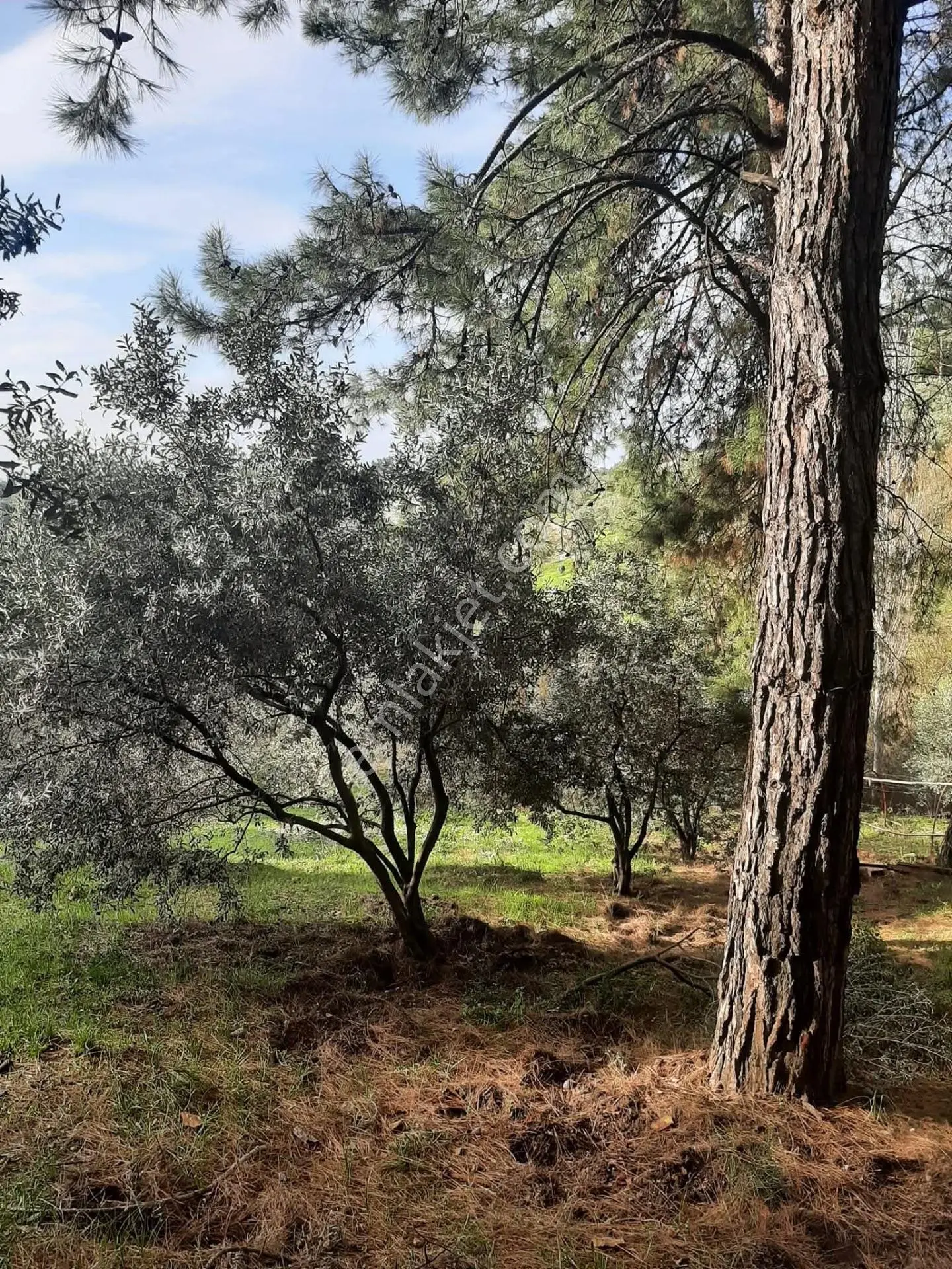 Bu Araziyi Görmeden Karar Vermeyin — fotoğraf 5