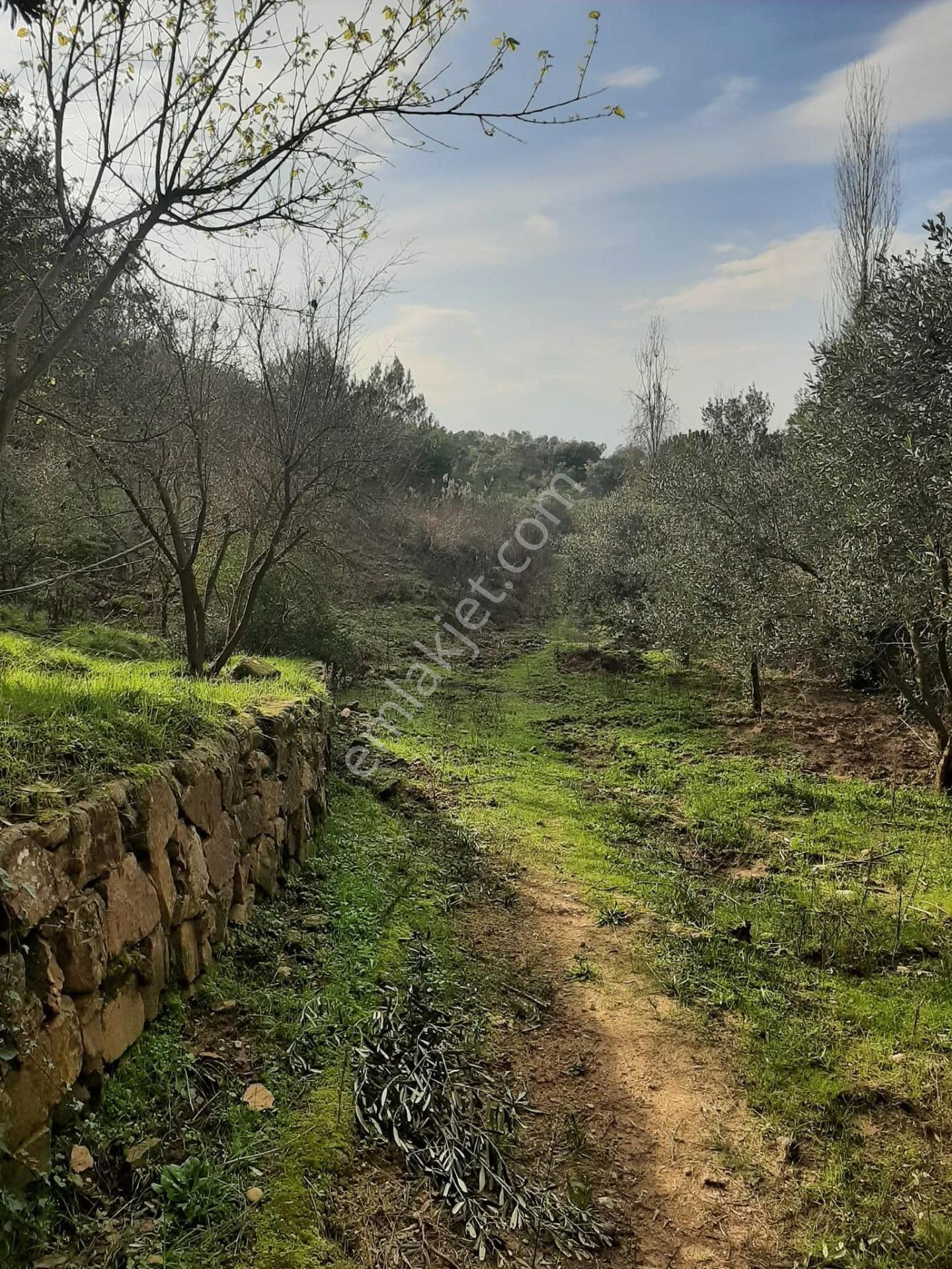 Bu Araziyi Görmeden Karar Vermeyin — fotoğraf 7