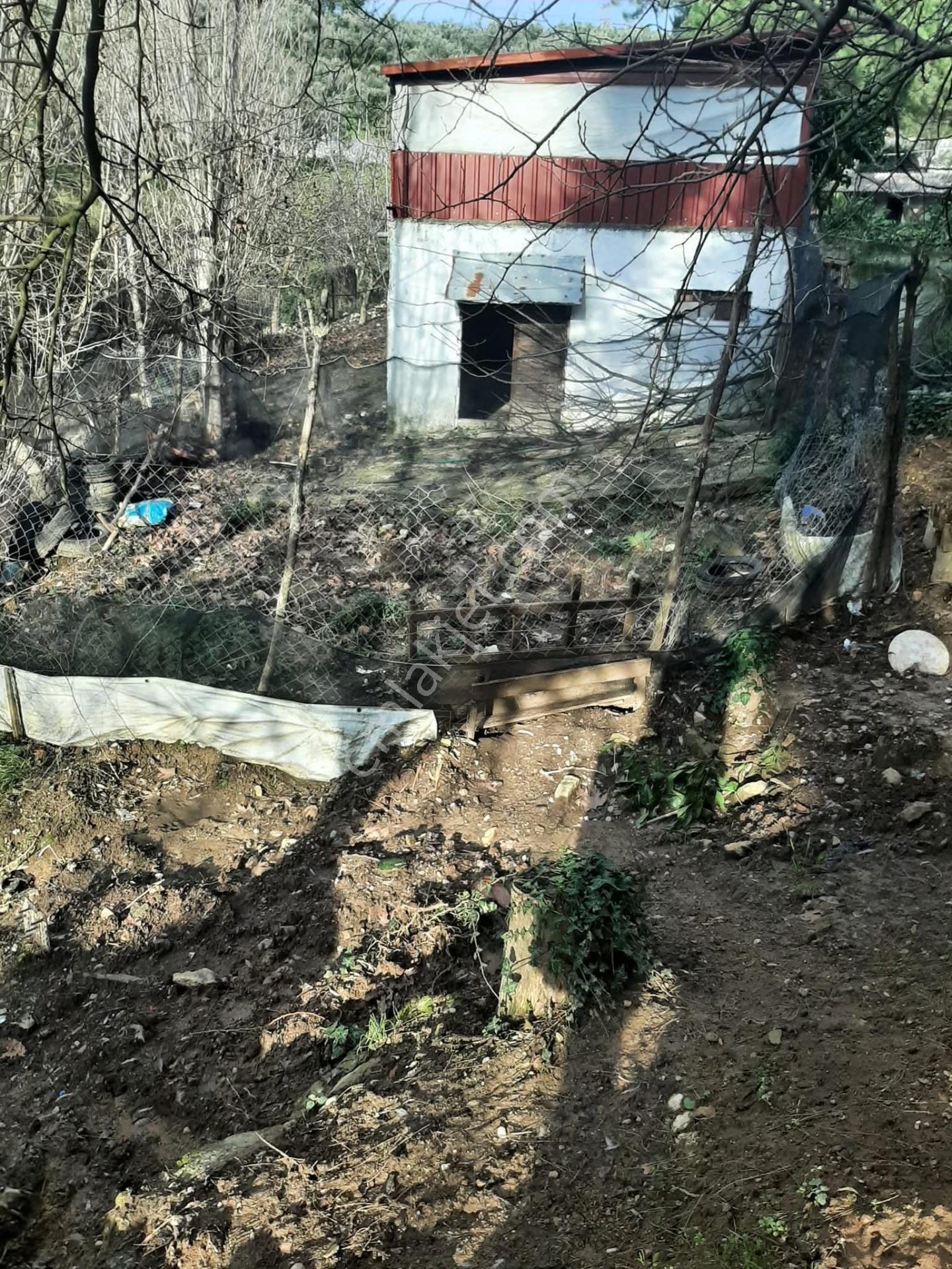 Bu Araziyi Görmeden Karar Vermeyin — fotoğraf 8