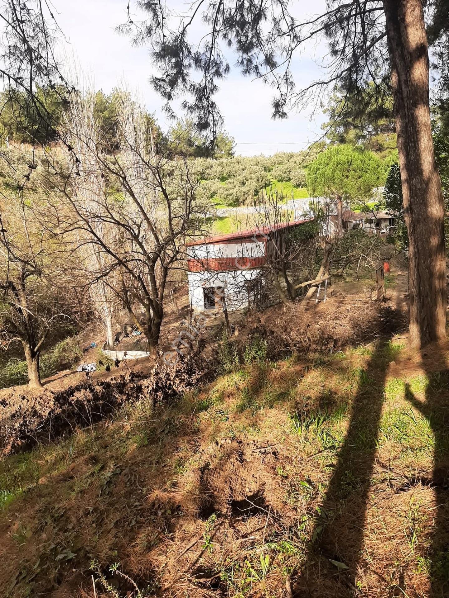 Bu Araziyi Görmeden Karar Vermeyin — fotoğraf 9