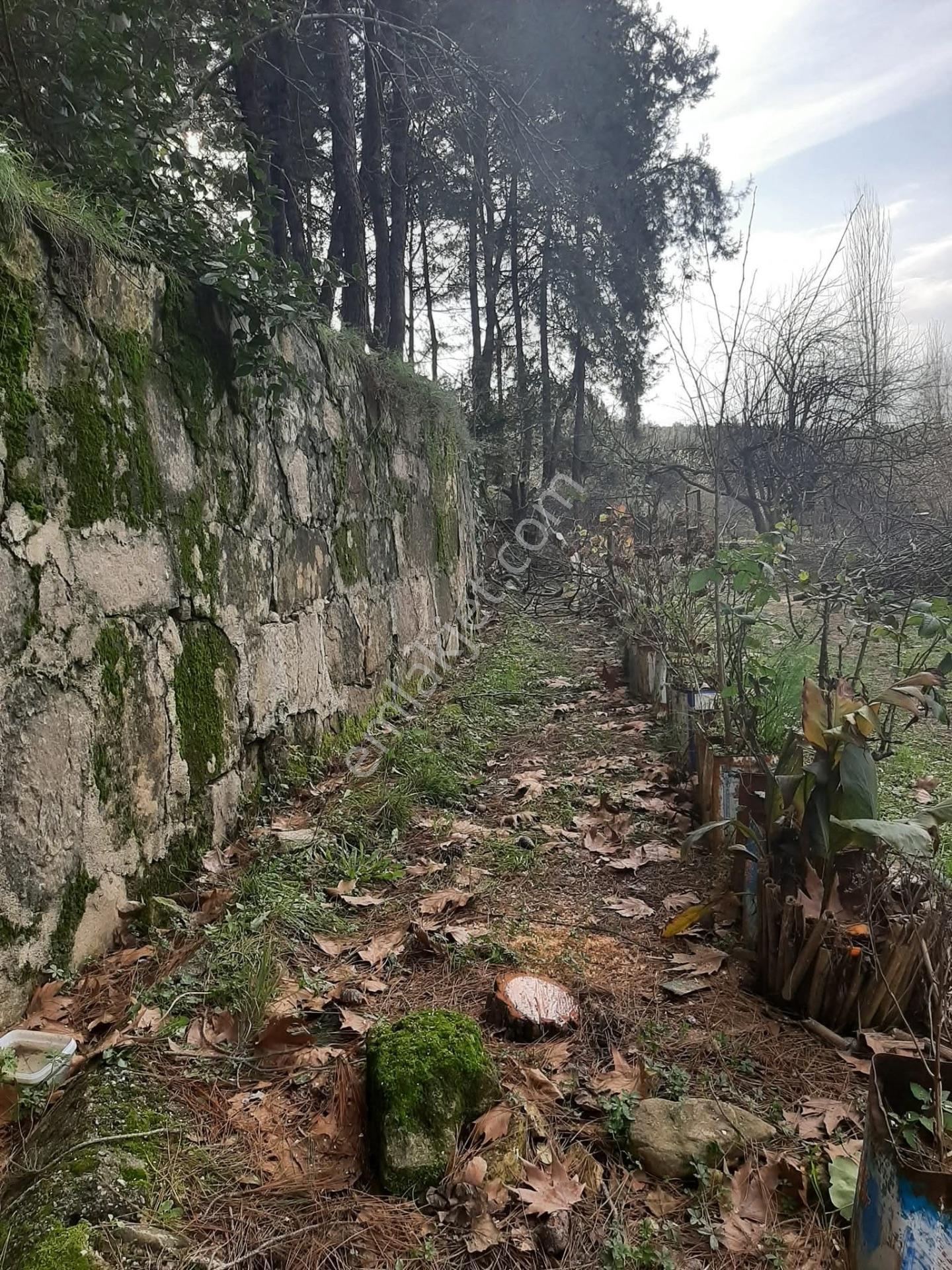Bu Araziyi Görmeden Karar Vermeyin — fotoğraf 12