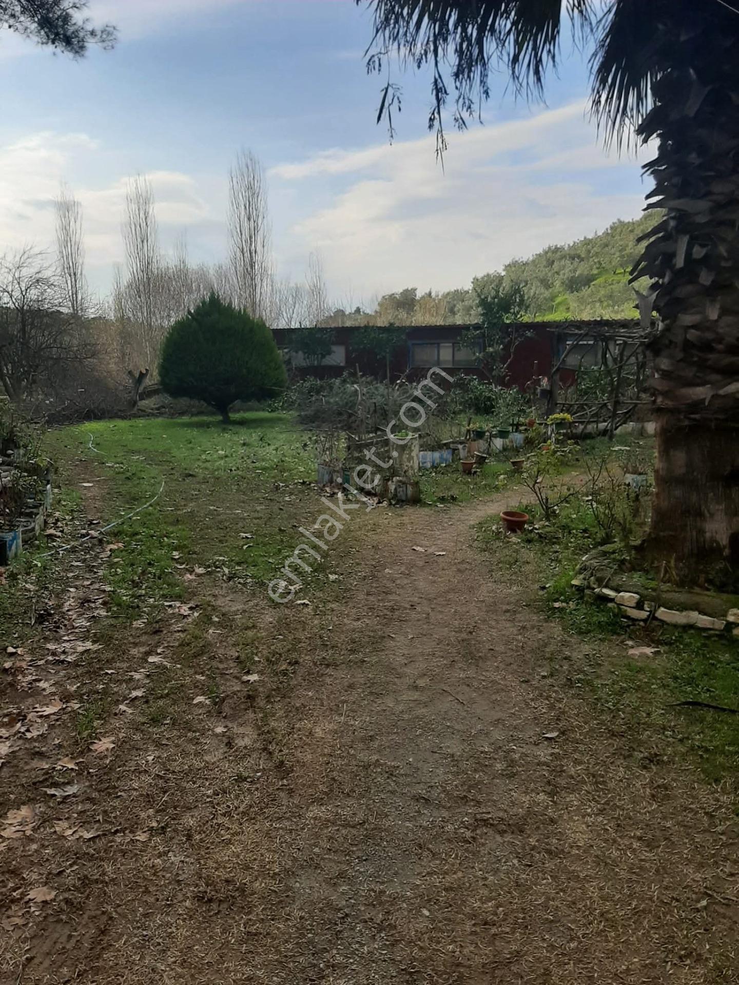 Bu Araziyi Görmeden Karar Vermeyin — fotoğraf 17