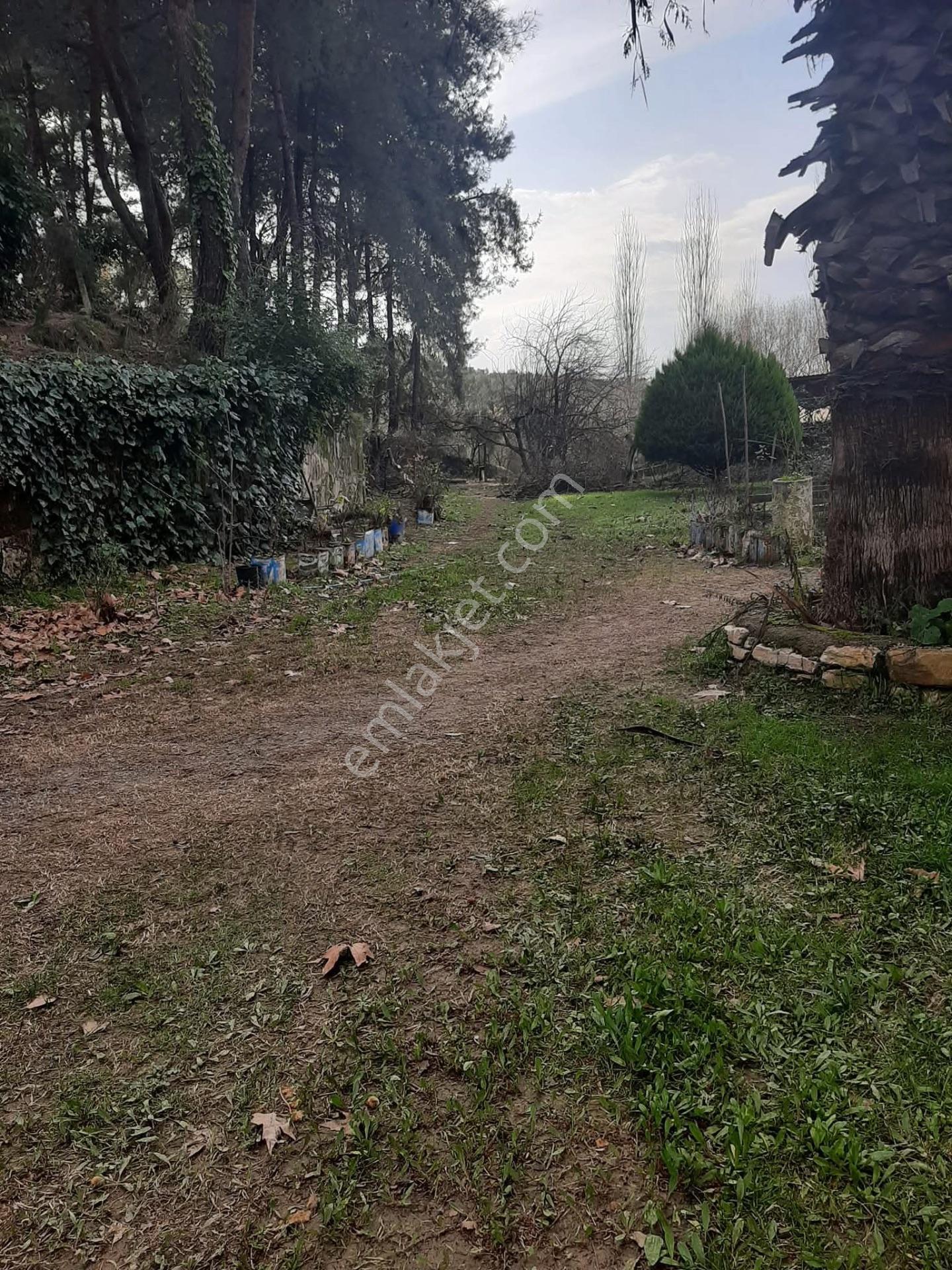 Bu Araziyi Görmeden Karar Vermeyin — fotoğraf 18