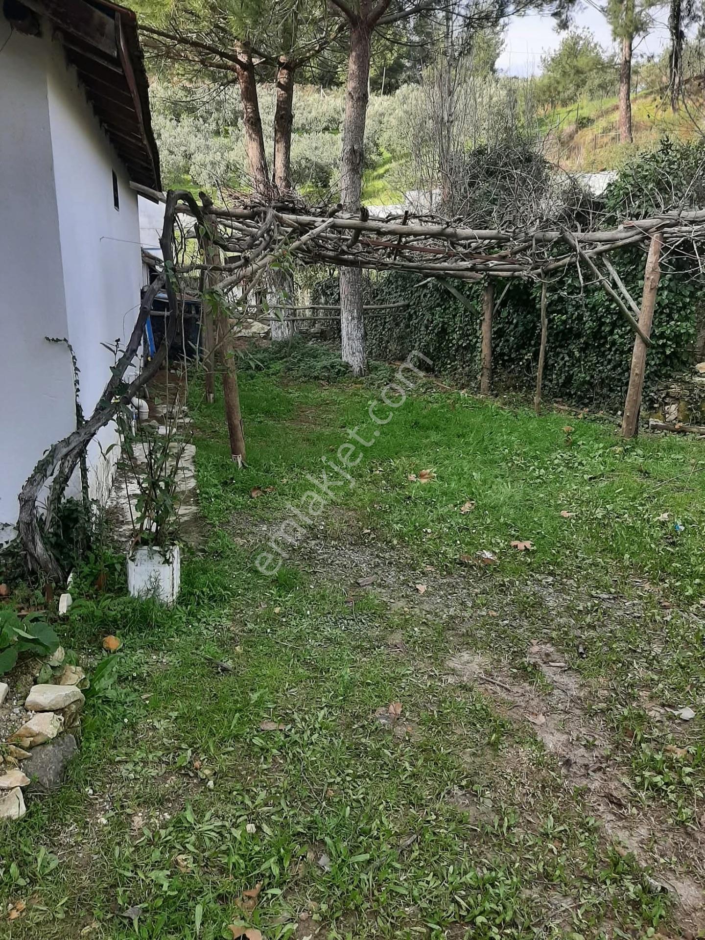 Bu Araziyi Görmeden Karar Vermeyin — fotoğraf 19