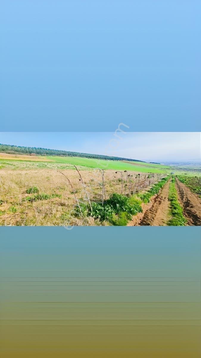 Gelişen Bölgede, Fırsat Müstakil Tapu, Bölgenin En Uygunu, — fotoğraf 2