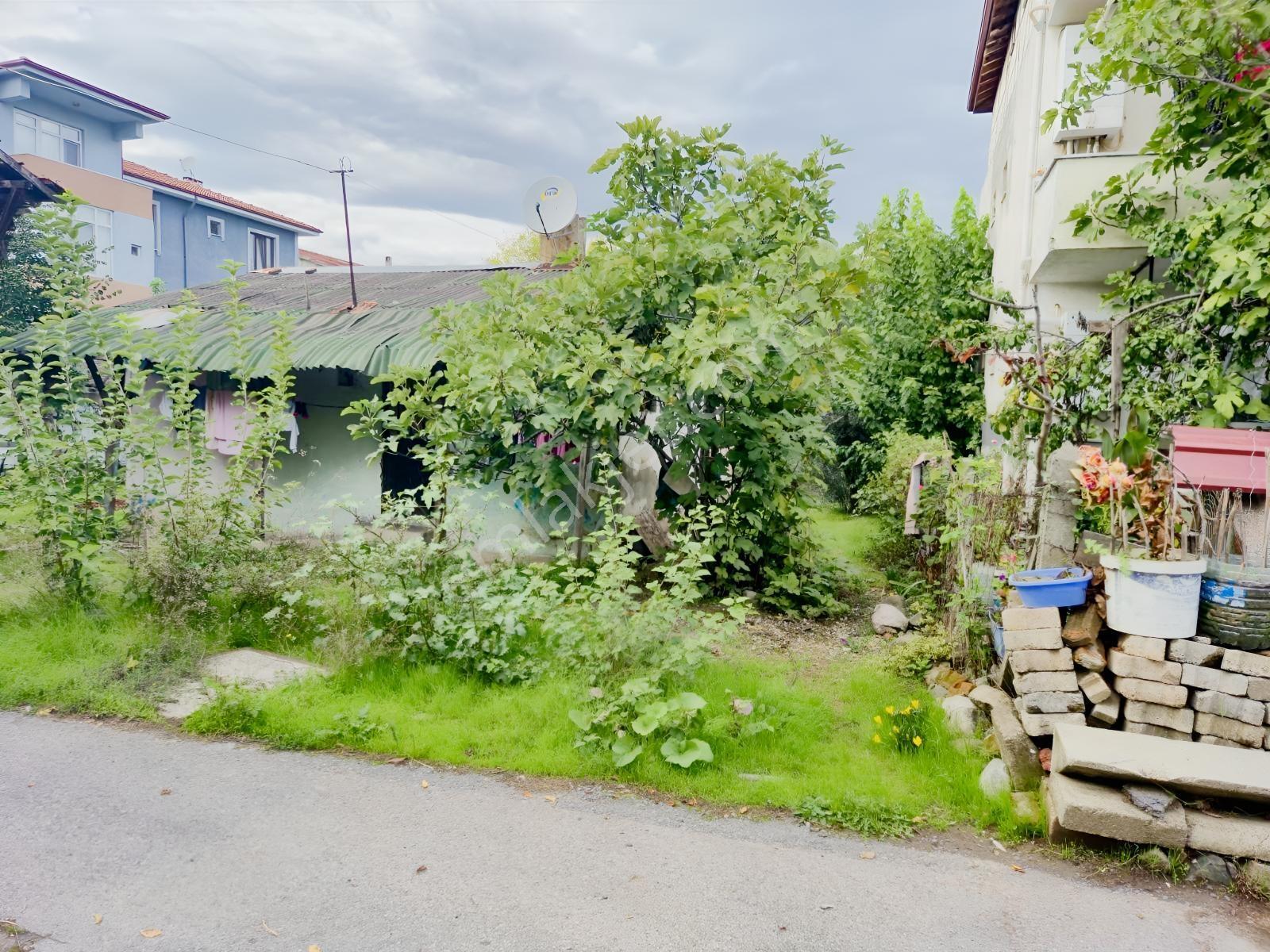Adaplatin'den Geyve Merkezde 300 M2 Köşe Arsa %40 3 Kat İmarlı — fotoğraf 5