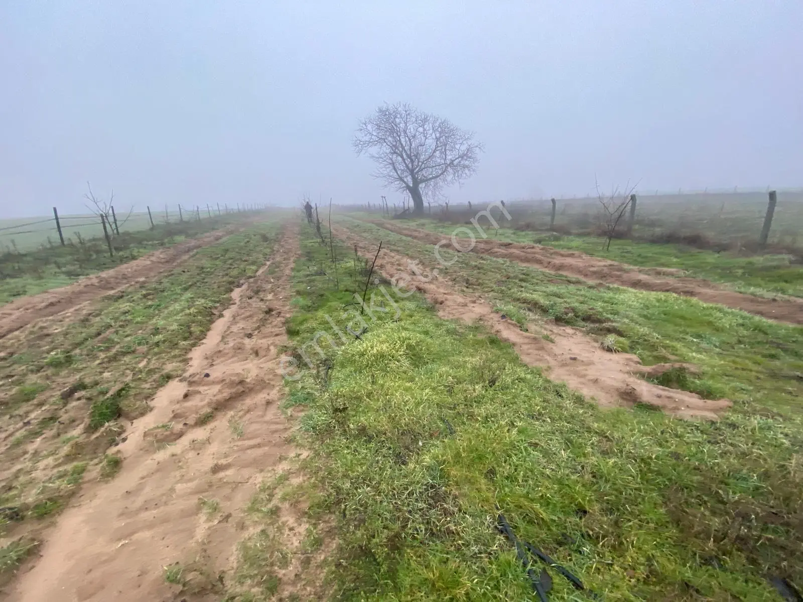 Edirne Meriçte Acil Satılık Arsa