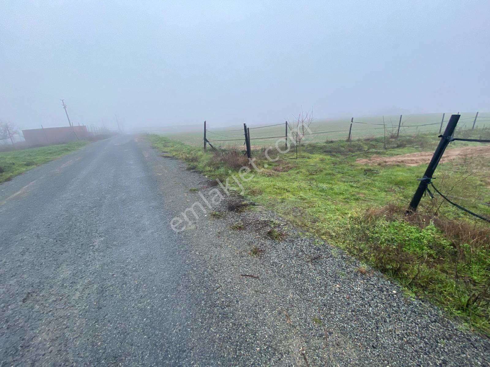 Edirne Meriçte Acil Satılık Arsa — fotoğraf 8