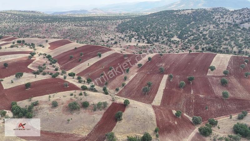 Ormana Cephe, Resmî Yola Sıfır! 2.742 M² Müstakil Tarla Fırsatı!