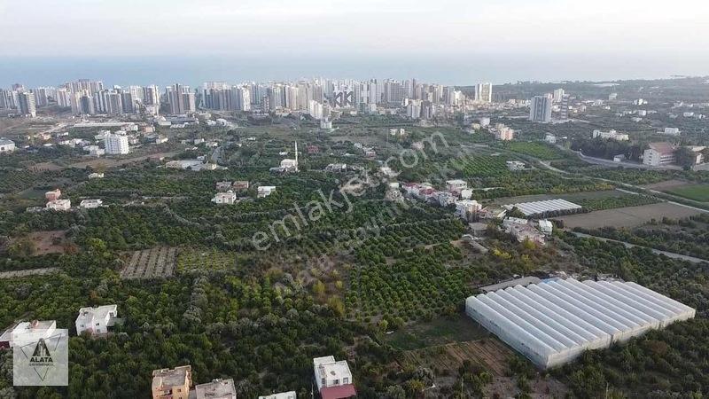 Arpaçbahşiş'De Uygulama Geçmiş Villa İmarlı Arsa