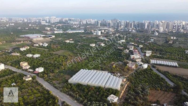 Arpaçbahşiş'de Uygulama Geçmiş Villa İmarlı Arsa — fotoğraf 3