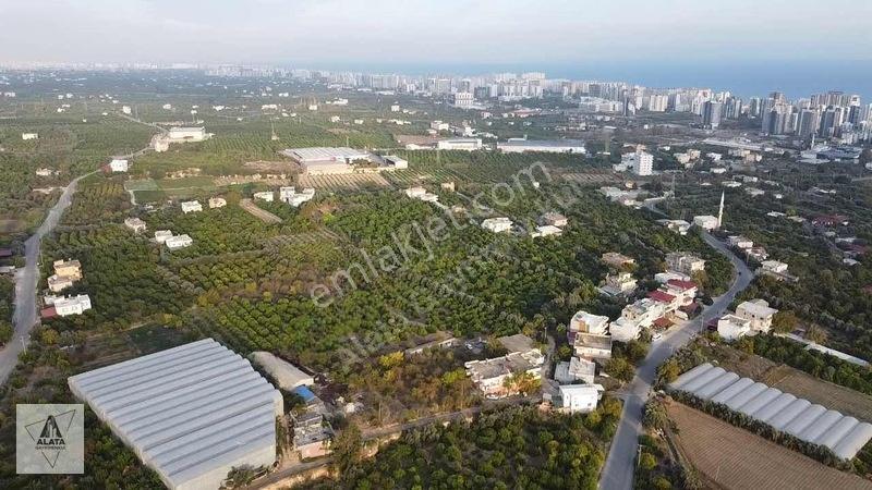 Arpaçbahşiş'de Uygulama Geçmiş Villa İmarlı Arsa — fotoğraf 5