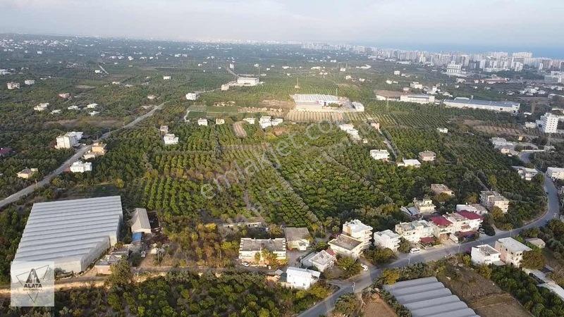 Arpaçbahşiş'de Uygulama Geçmiş Villa İmarlı Arsa — fotoğraf 6