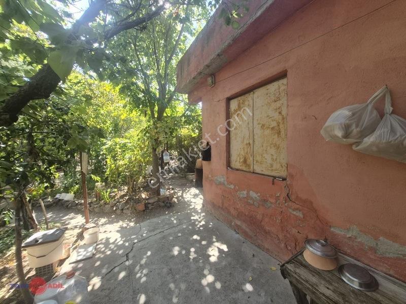 Bergama Çitköy'de Asfalta Sıfır Satılık Zeytinlik — fotoğraf 13