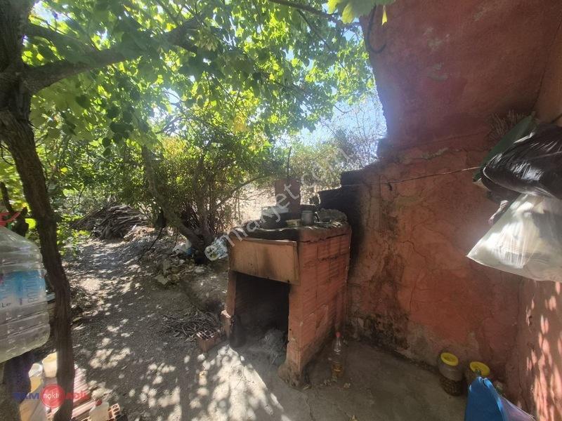 Bergama Çitköy'de Asfalta Sıfır Satılık Zeytinlik — fotoğraf 14