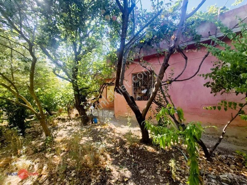 Bergama Çitköy'de Asfalta Sıfır Satılık Zeytinlik — fotoğraf 16