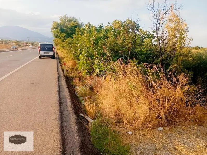Manisa Turgutlu Yoluna 30 Metre Cepheli Yatırımlık Zeytinlik — fotoğraf 2