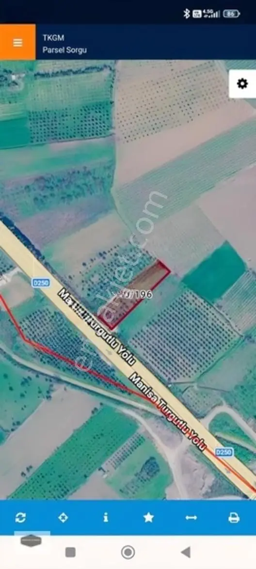 Manisa Turgutlu Yoluna 30 Metre Cepheli Yatırımlık Zeytinlik — fotoğraf 3