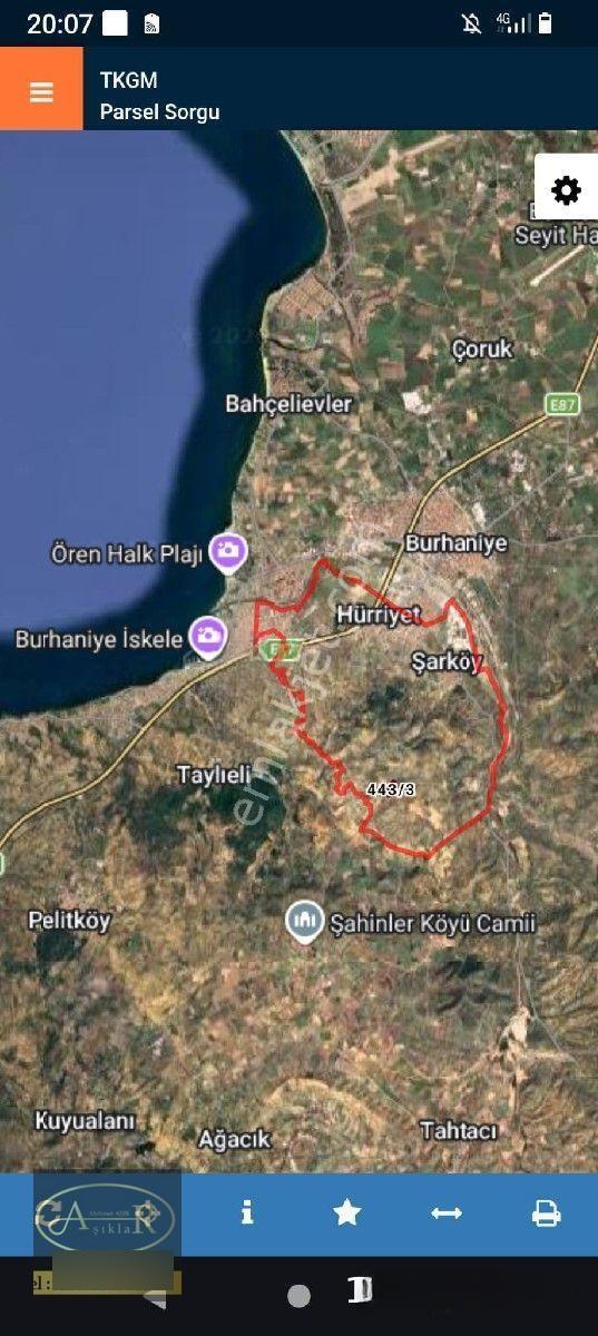 Balıkesir Burhaniye Şarköy'de Yolu Olan 6.900m² Satılık Yarı Hisseli Zeytinlik — fotoğraf 4
