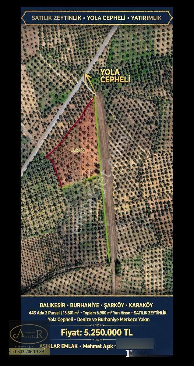 Balıkesir Burhaniye Şarköy'de Yolu Olan 6.900m² Satılık Yarı Hisseli Zeytinlik — fotoğraf 5