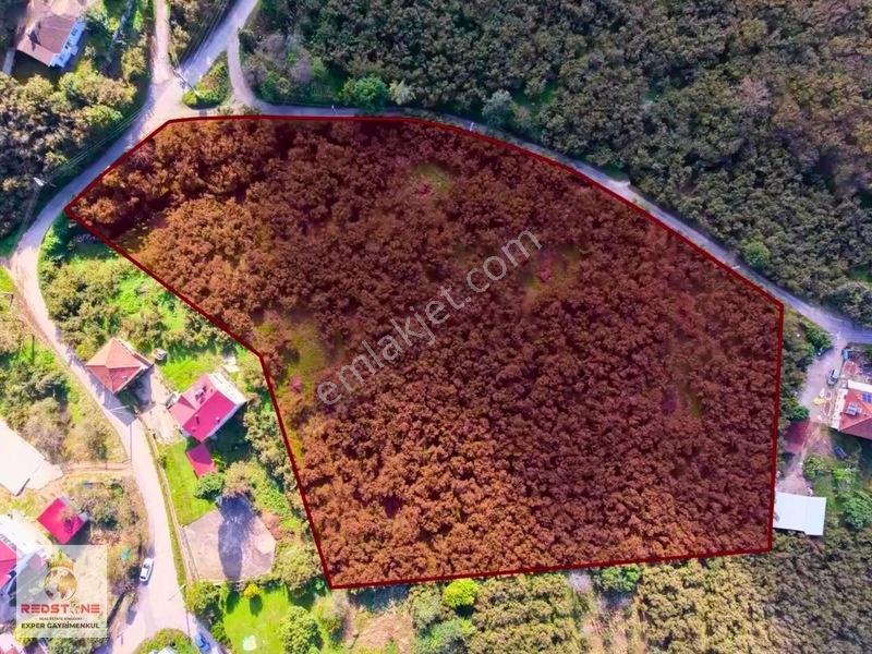 Tamamı İmarlı Karasu Kızılcık'ta Parsellmeye Uygun Satılık Arsa — fotoğraf 14