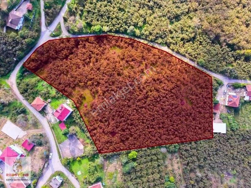 Tamamı İmarlı Karasu Kızılcık'ta Parsellmeye Uygun Satılık Arsa — fotoğraf 19