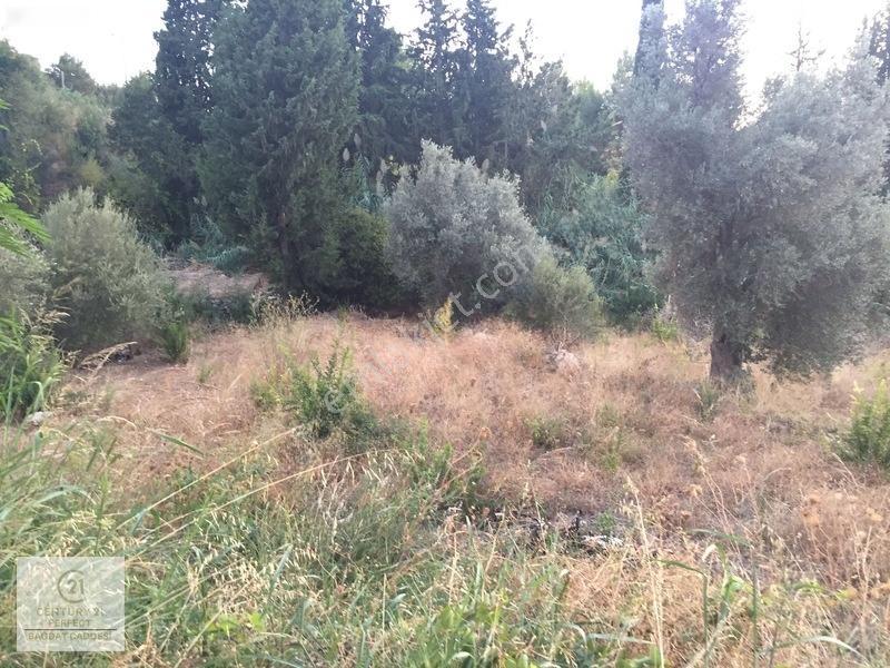 Fethiye Faralyada Turizm Bölgesinde Satılık Arsa 2005 M2 — fotoğraf 9