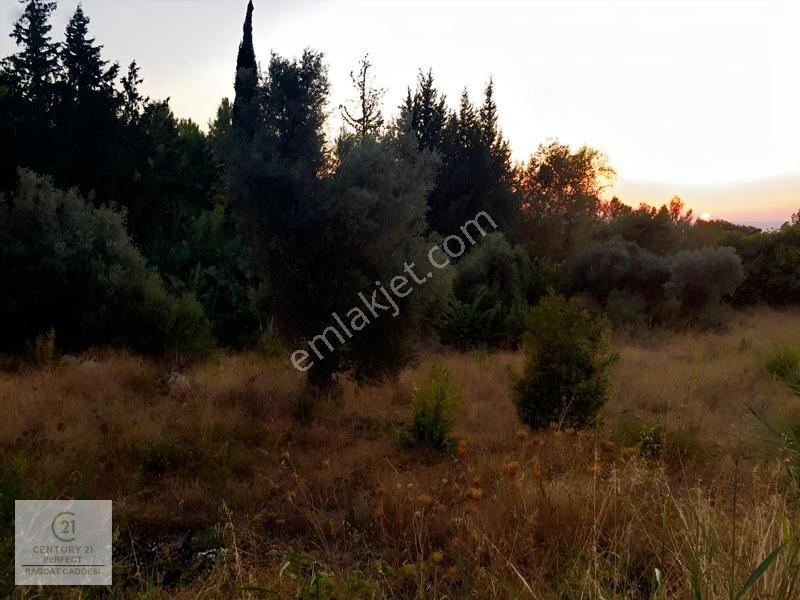 Fethiye Faralyada Turizm Bölgesinde Satılık Arsa 2005 M2 — fotoğraf 10