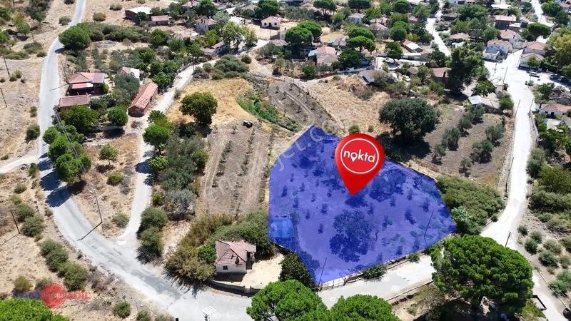 Dikili'De Fırsat Fiyatıyla Yatırım Ve Yaşam Fırsatı Zeyt