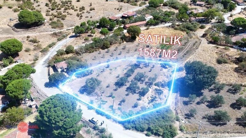 Dikili'de Fırsat Fiyatıyla Yatırım Ve Yaşam Fırsatı Zeyt — fotoğraf 2