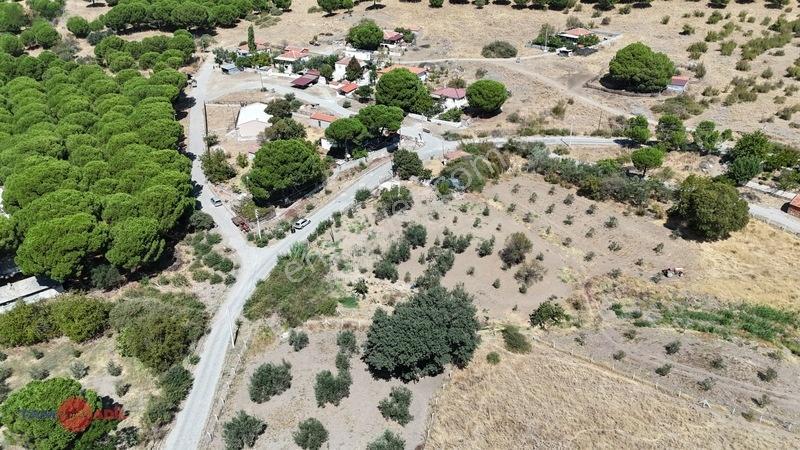 Dikili'de Fırsat Fiyatıyla Yatırım Ve Yaşam Fırsatı Zeyt — fotoğraf 3