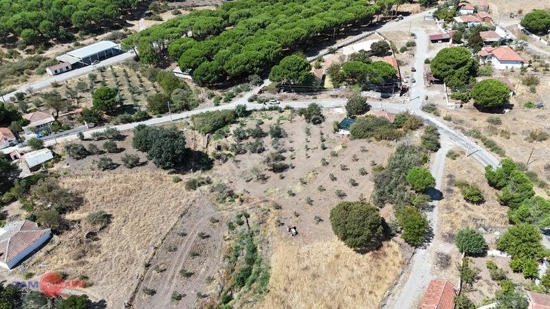 Dikili'de Fırsat Fiyatıyla Yatırım Ve Yaşam Fırsatı Zeyt — fotoğraf 4