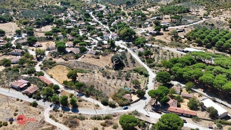 Dikili'de Fırsat Fiyatıyla Yatırım Ve Yaşam Fırsatı Zeyt — fotoğraf 5