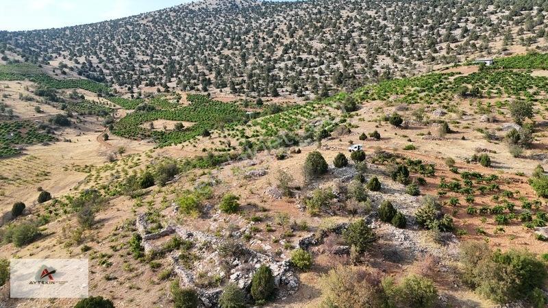 Devlet Ormanına Cephe, Yola Sıfır! Hadim'De 831M² Müstakil Tarla
