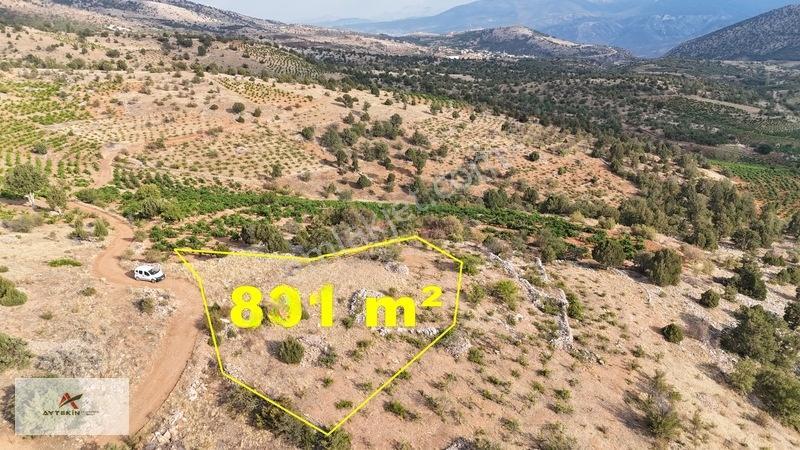 Devlet Ormanına Cephe, Yola Sıfır! Hadim'de 831m² Müstakil Tarla — fotoğraf 3