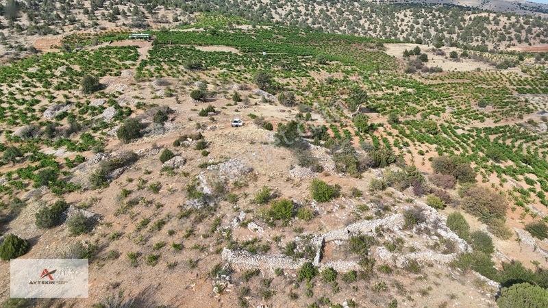 Devlet Ormanına Cephe, Yola Sıfır! Hadim'de 831m² Müstakil Tarla — fotoğraf 6