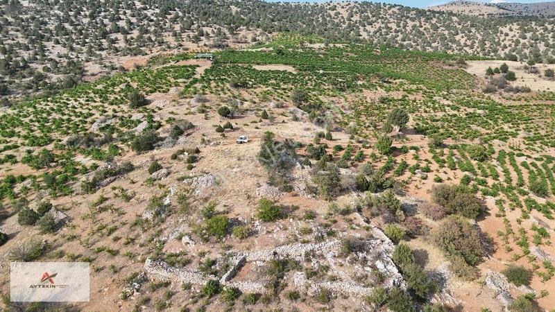 Devlet Ormanına Cephe, Yola Sıfır! Hadim'de 831m² Müstakil Tarla — fotoğraf 7