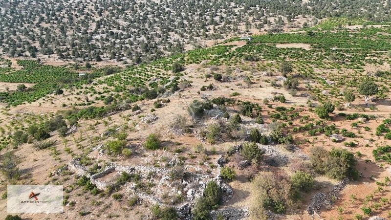 Devlet Ormanına Cephe, Yola Sıfır! Hadim'de 831m² Müstakil Tarla — fotoğraf 9