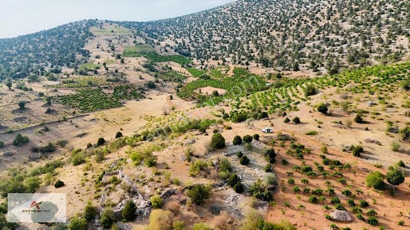 Devlet Ormanına Cephe, Yola Sıfır! Hadim'de 831m² Müstakil Tarla — fotoğraf 10